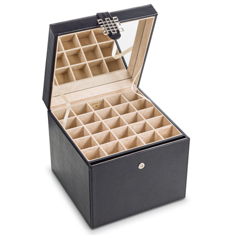 Earring Organizer Box -  75 Small & 4 Large Slots [Pack of 2 Boxes]